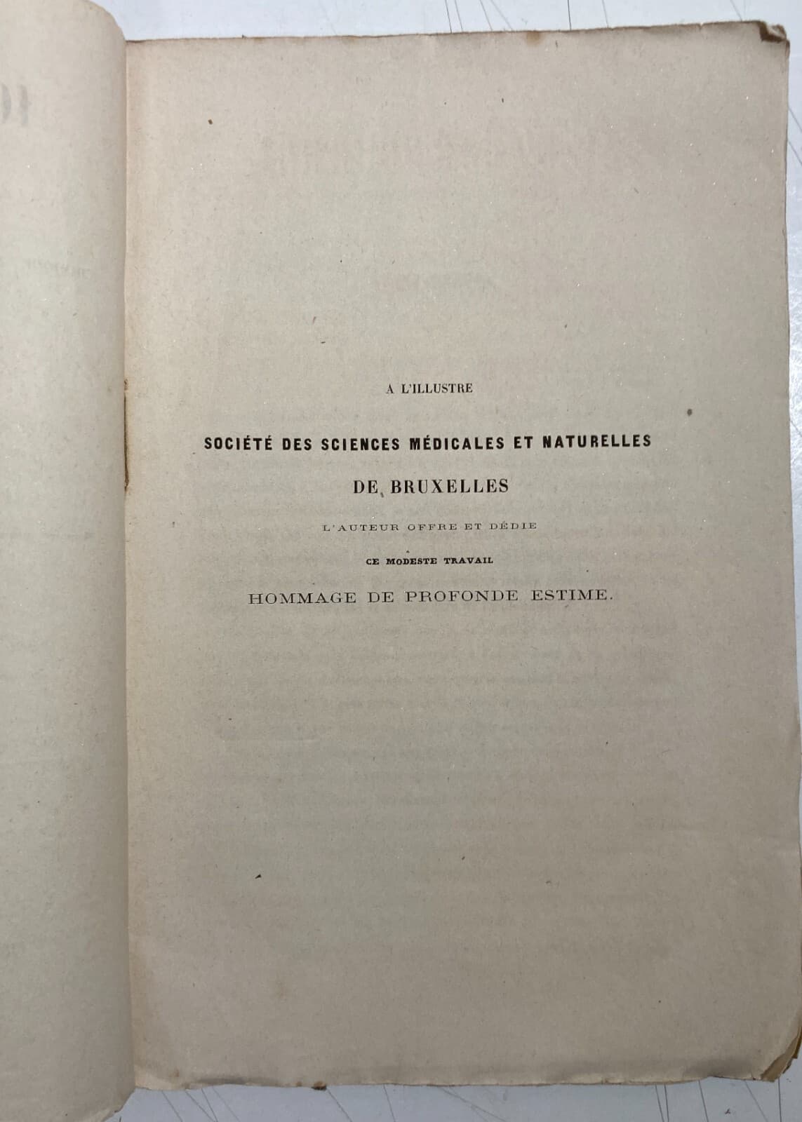 Medicina, Farmacia E Farmacologia: Monografia Dell'800 Sullo Iodoformio Di Righini, Novara