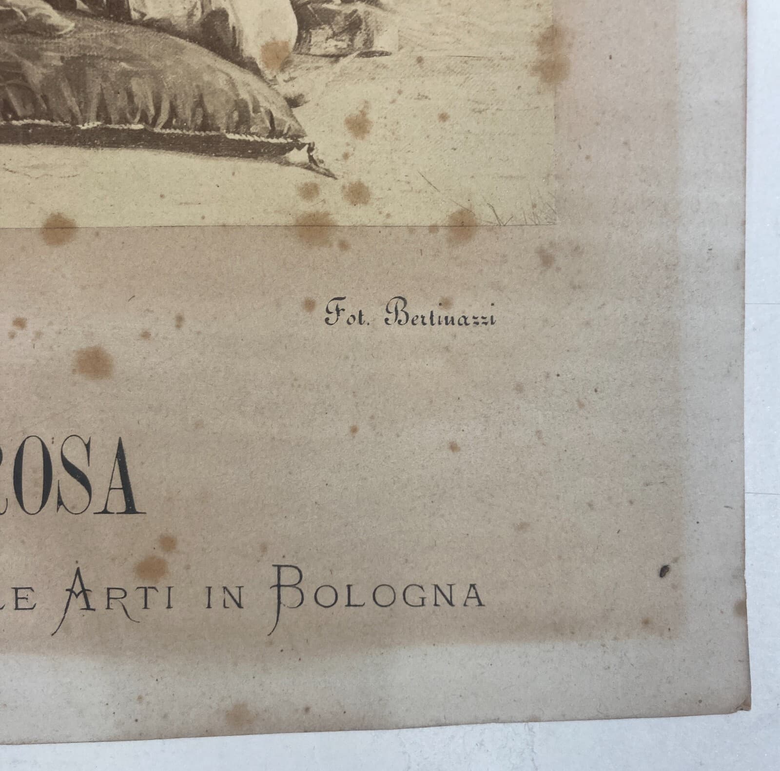 Antica Fotografia: Pergamena Amorosa (Paolo Bedini), Fotografo Bertinazzi, Bologna