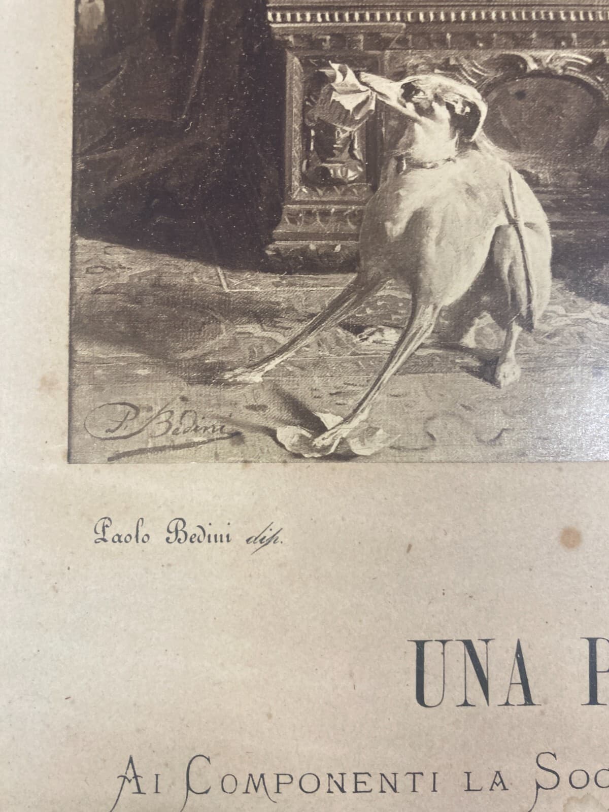 Antica Fotografia: Pergamena Amorosa (Paolo Bedini), Fotografo Bertinazzi, Bologna