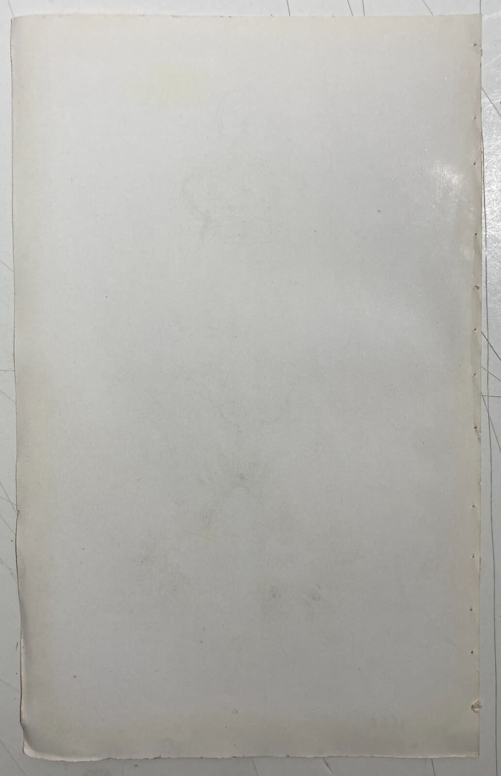 Araldica: Insegne Cavalleresche Dell'Ordine Dei SS. Maurizio E Lazzaro   Croce E Placca