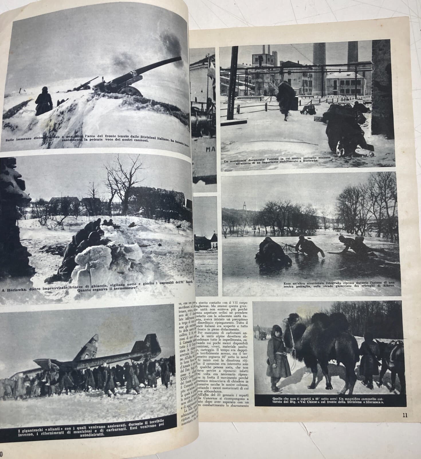 Militaria: Marina, Fronte Russo, Alpini, Croce Rossa   Asso Di Bastoni, 1953