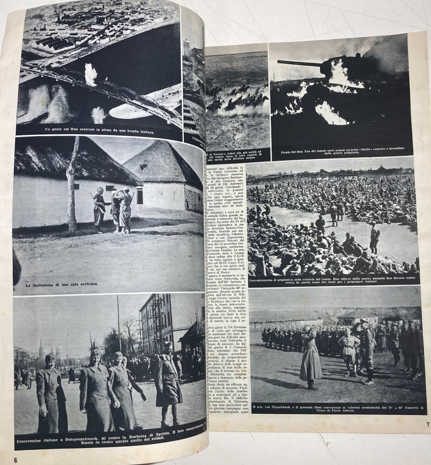 Militaria: Marina, Fronte Russo, Alpini, Croce Rossa   Asso Di Bastoni, 1953