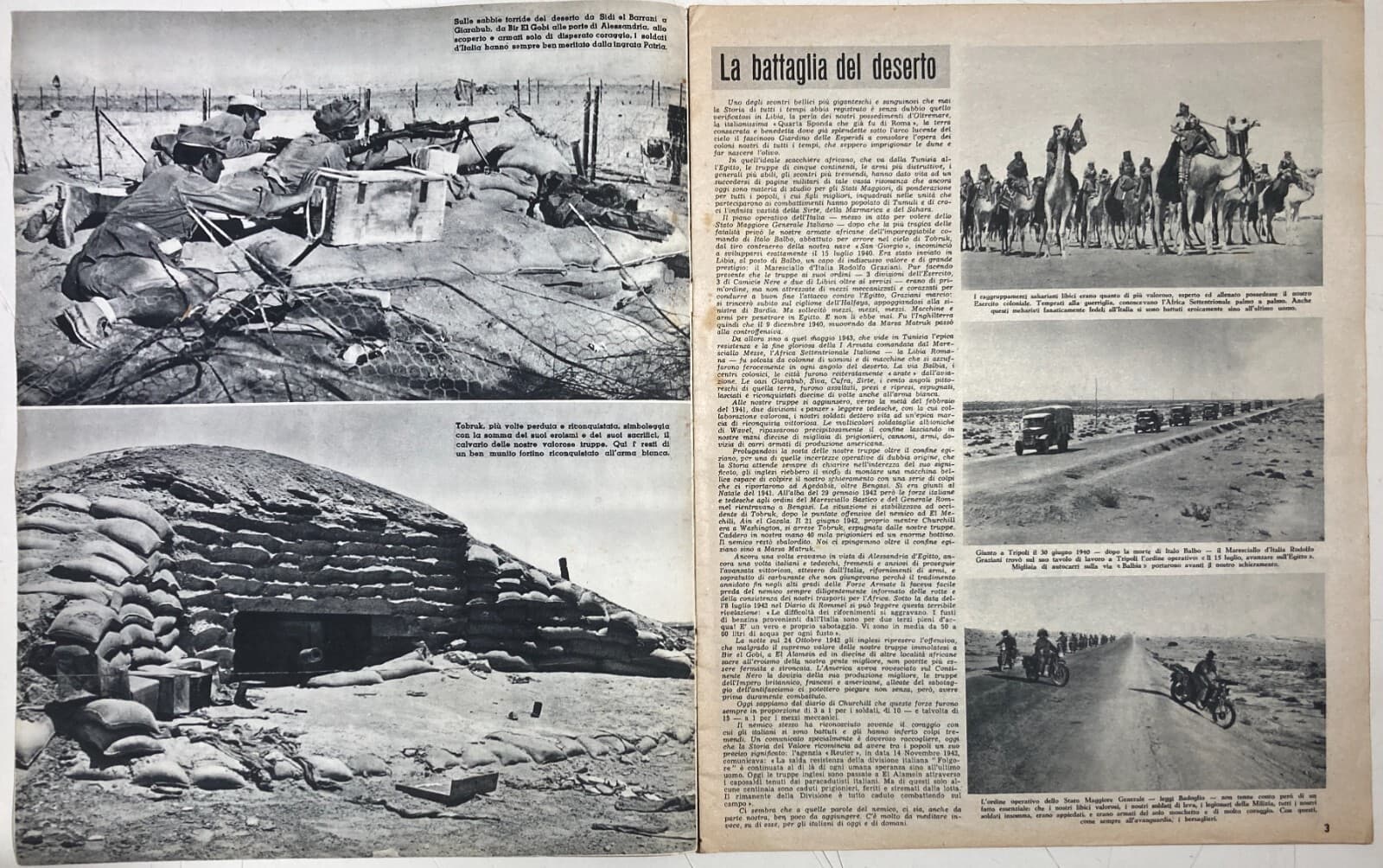 Militaria Africa Colonie Tobruk El Alamein Battaglia Nel Deserto Illustrato 1955