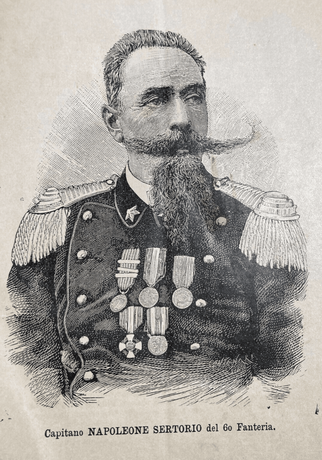 Militaria: Capitano Napoleone Sertorio, 60° Fanteria   Antico Ritratto