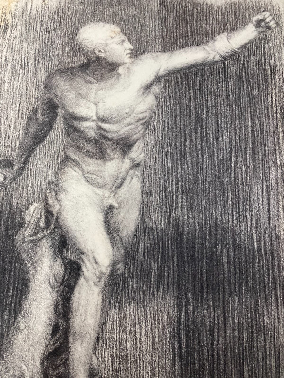 Studio Di Nudo Maschile (atleta). Disegno Di Ezio Fregosi.