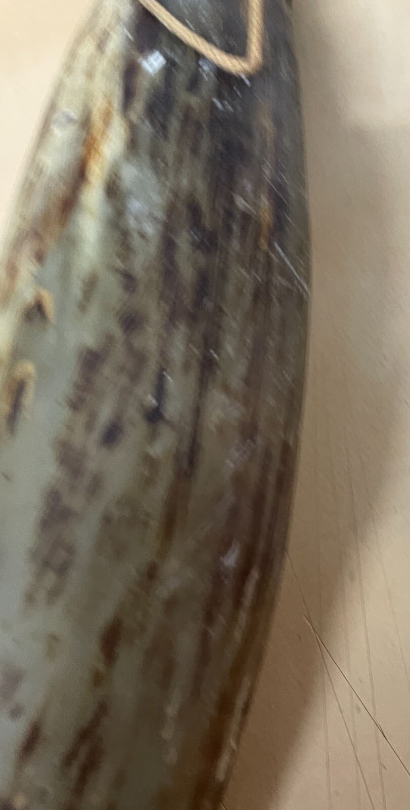 Borraccia In Corno Di Osso Intagliato   Artigianato Popolare Meridionale