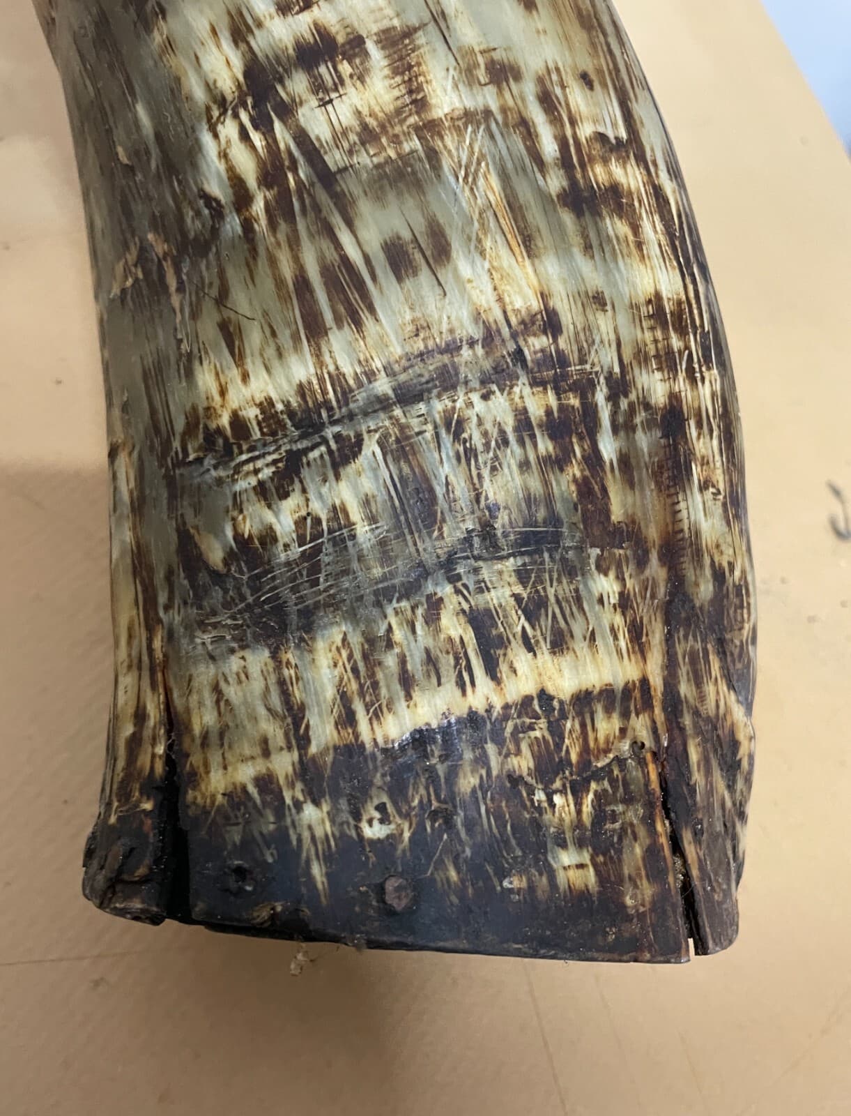 Borraccia In Corno Di Osso Intagliato   Artigianato Popolare Meridionale