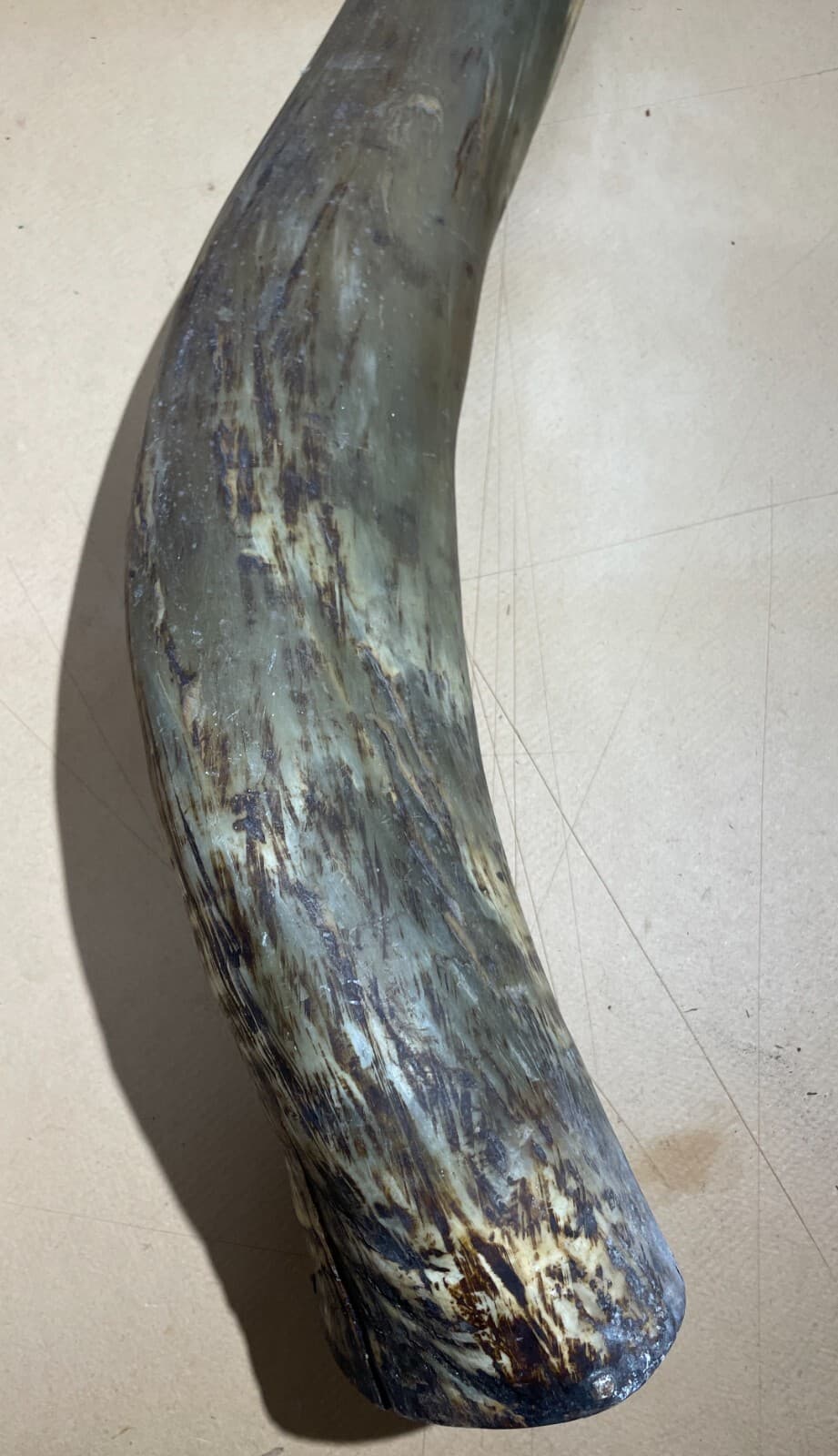 Borraccia In Corno Di Osso Intagliato   Artigianato Popolare Meridionale