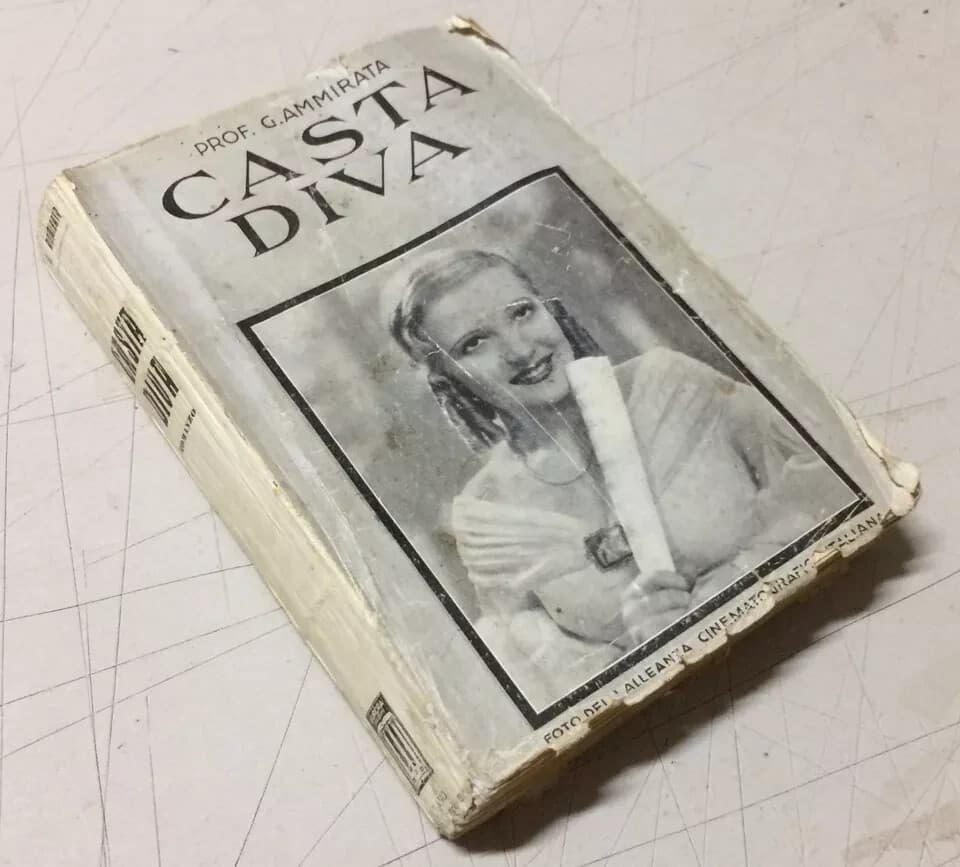 Giannina Ammirata, Casta Diva: Musica, Musicisti E Vincenzo Bellini, 1936