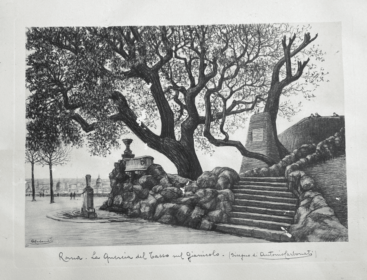 Antica Roma. Quercia Del Tasso Sul Gianicolo. Stampa Da Disegno Di Antonio Carbonati, 1950