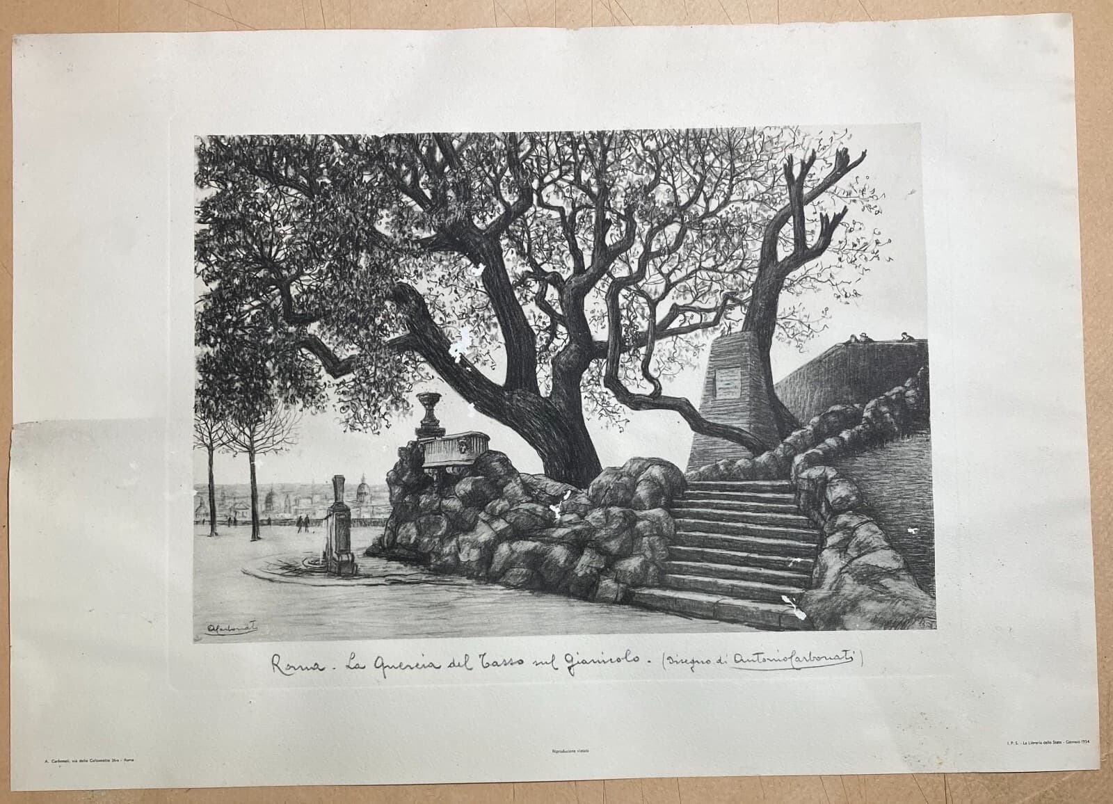 Antica Roma. Quercia Del Tasso Sul Gianicolo. Stampa Da Disegno Di Antonio Carbonati, 1950