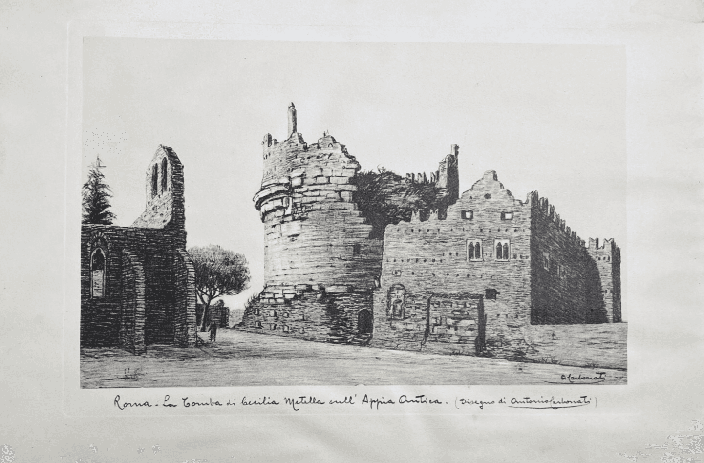 Antica Roma. Quercia Del Tasso Sul Gianicolo. Stampa Da Disegno Di Antonio Carbonati, 1950