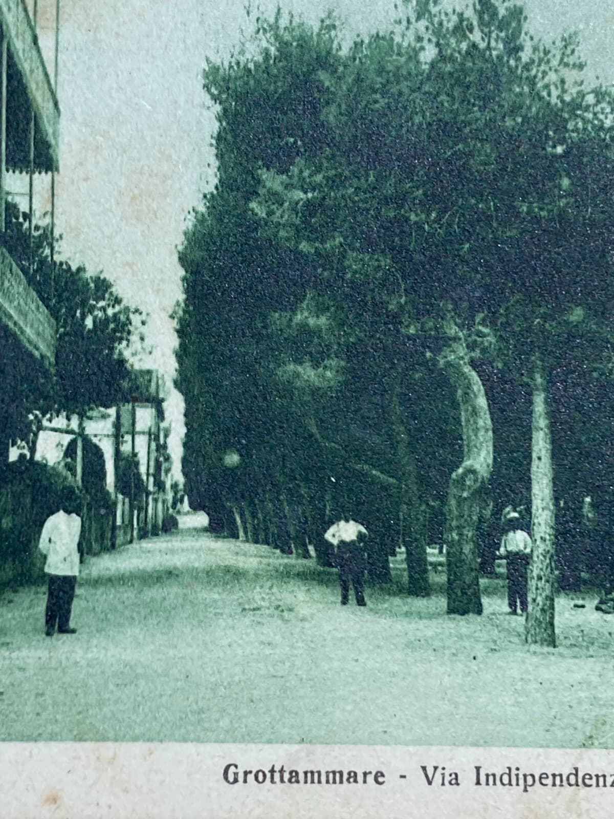 Marche, Grottammare: Antica Cartolina Illustrata Animata Folkloristica Cameli, Anni '30