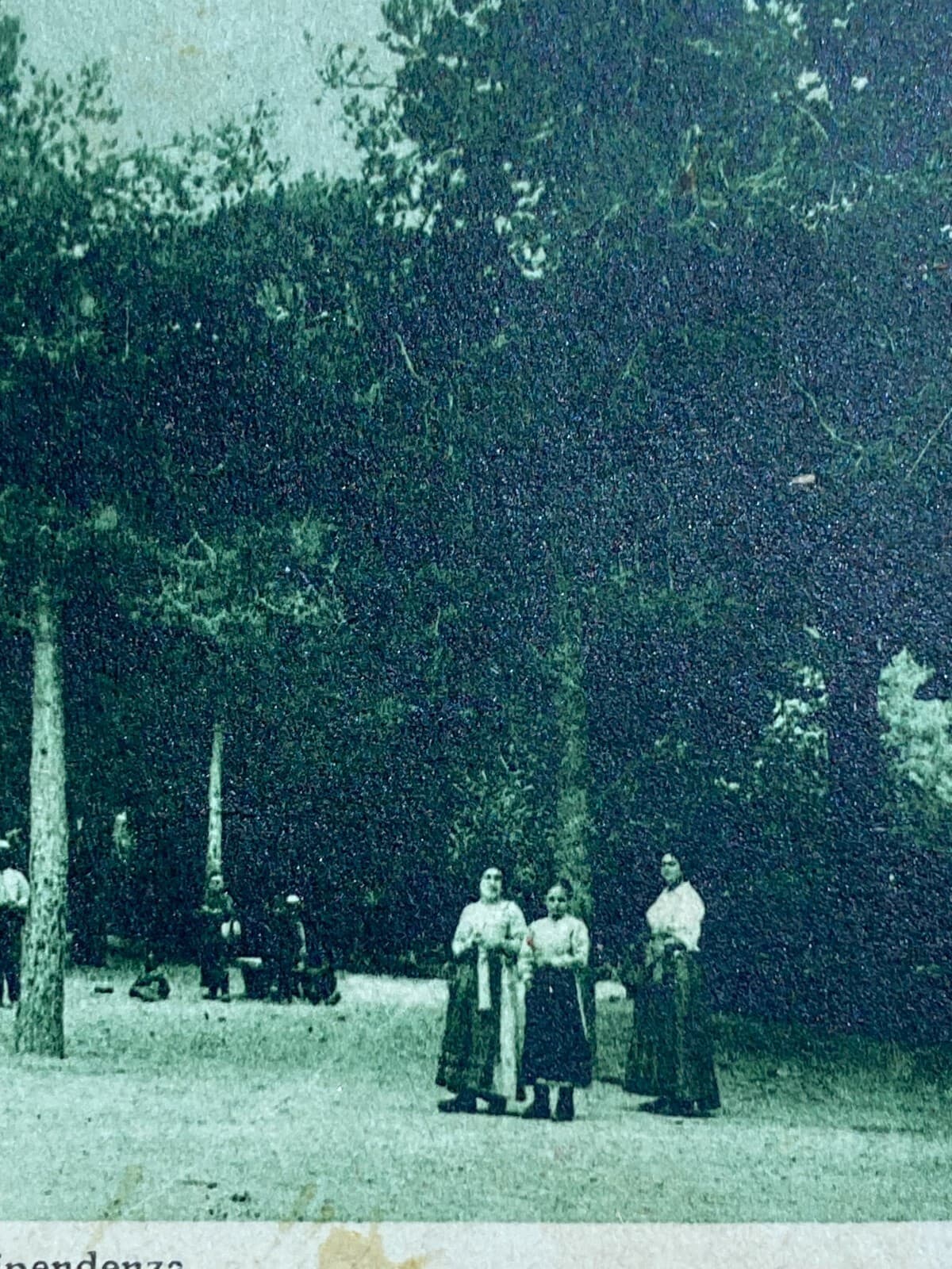 Marche, Grottammare: Antica Cartolina Illustrata Animata Folkloristica Cameli, Anni '30