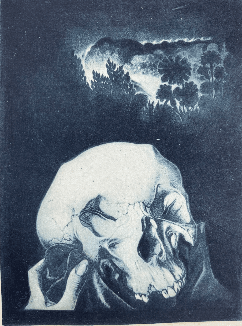 Alberto Martini: Il Cranio Di Yorik (Amleto Di Shakespeare), Arte Simbolista