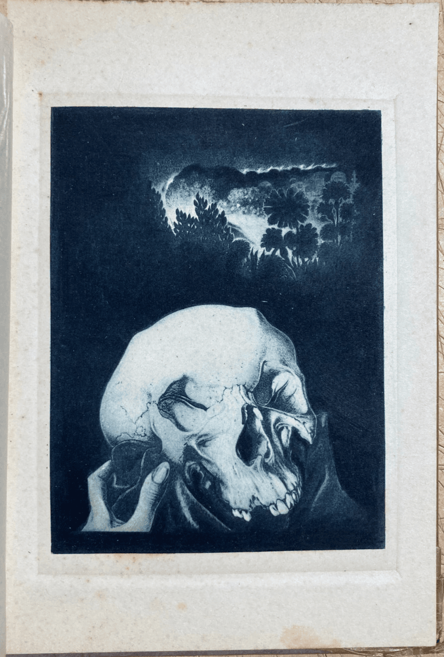 Alberto Martini: Il Cranio Di Yorik (Amleto Di Shakespeare), Arte Simbolista