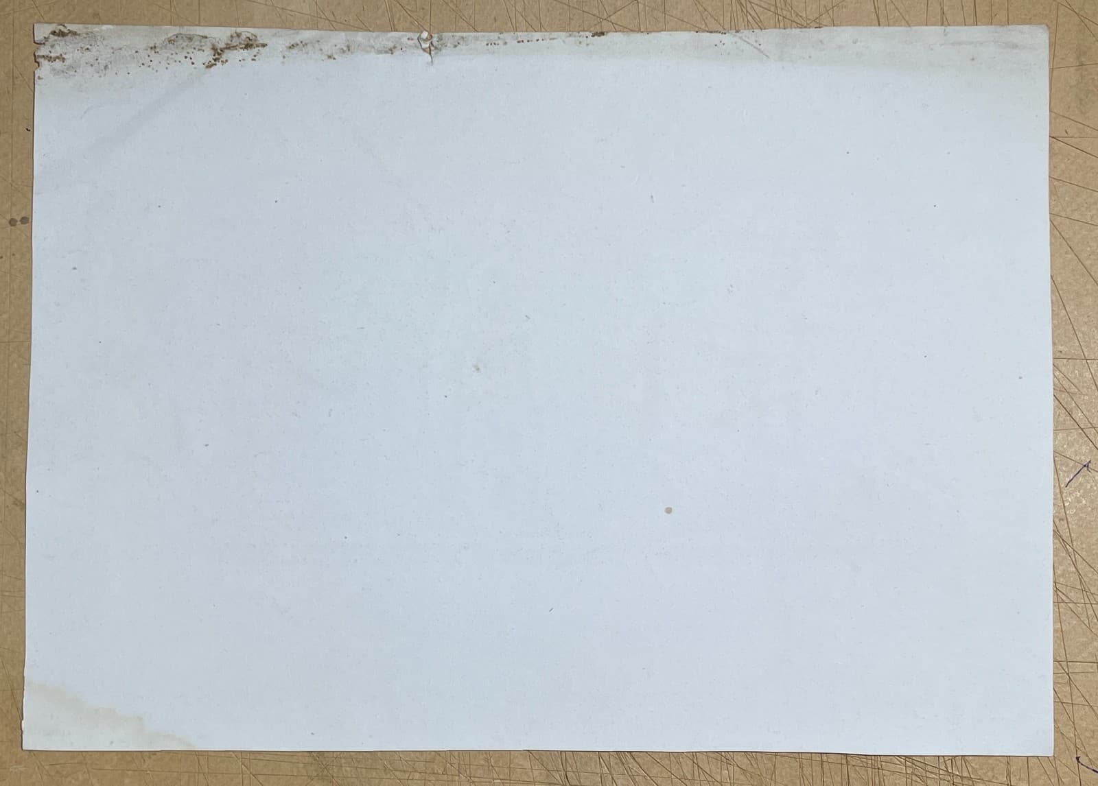 Mitologia: Atena, Partenone, Processione Delle Panatenee. Antica Incisione Di Russo E Fattori