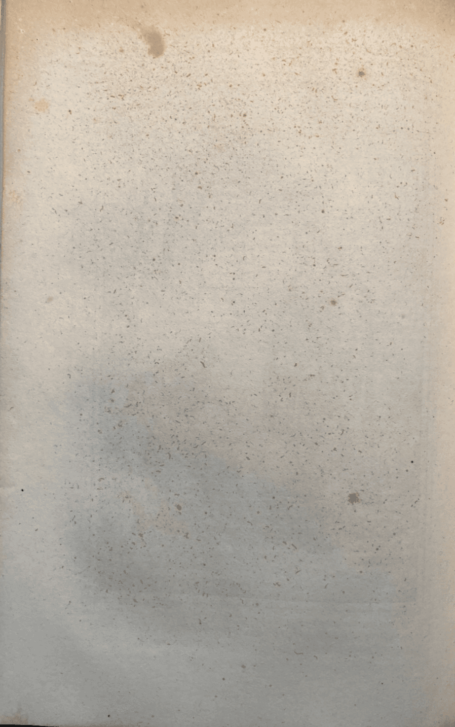 Morte Di Correggio: Antica Stampa Litografica (Vicarj, Brizeghel, 1844)