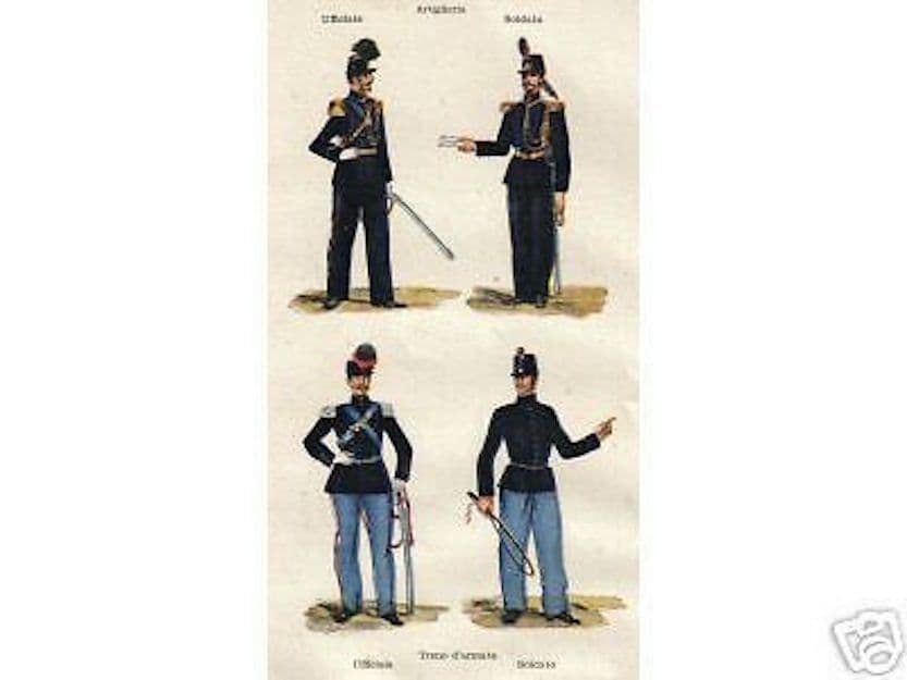Stampa Artiglieria E Treno d'Armata Piemontese 1859 Uniformi