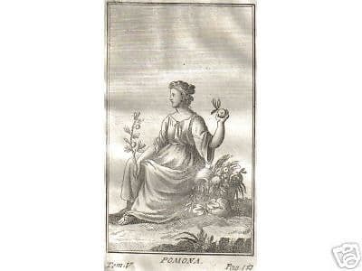 Pomona. Incisione Antica All'Acquaforte, Mitologia Romana, Fine XVIII Secolo