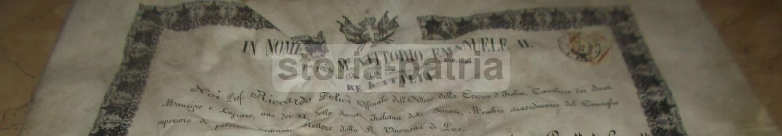 Diploma Di Laurea In Medicina E Chirurgia, Università Di Pisa, 1871