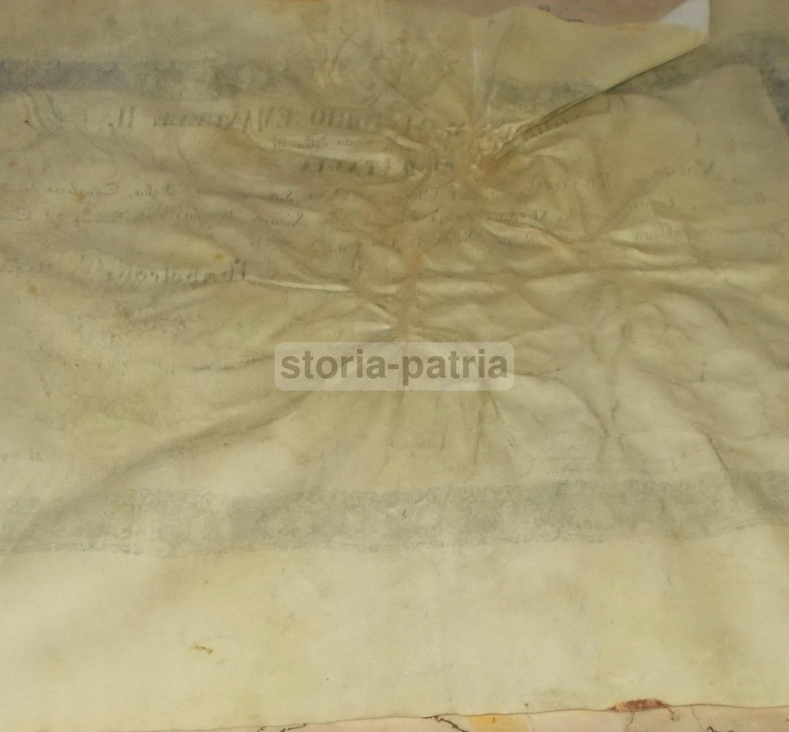 Diploma Di Laurea In Medicina E Chirurgia, Università Di Pisa, 1871