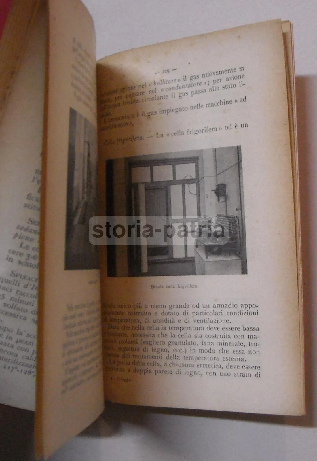 Ortaggi: Conservazione E Utilizzazione Industriale, A. De Mori (1945), foto 3 di 5