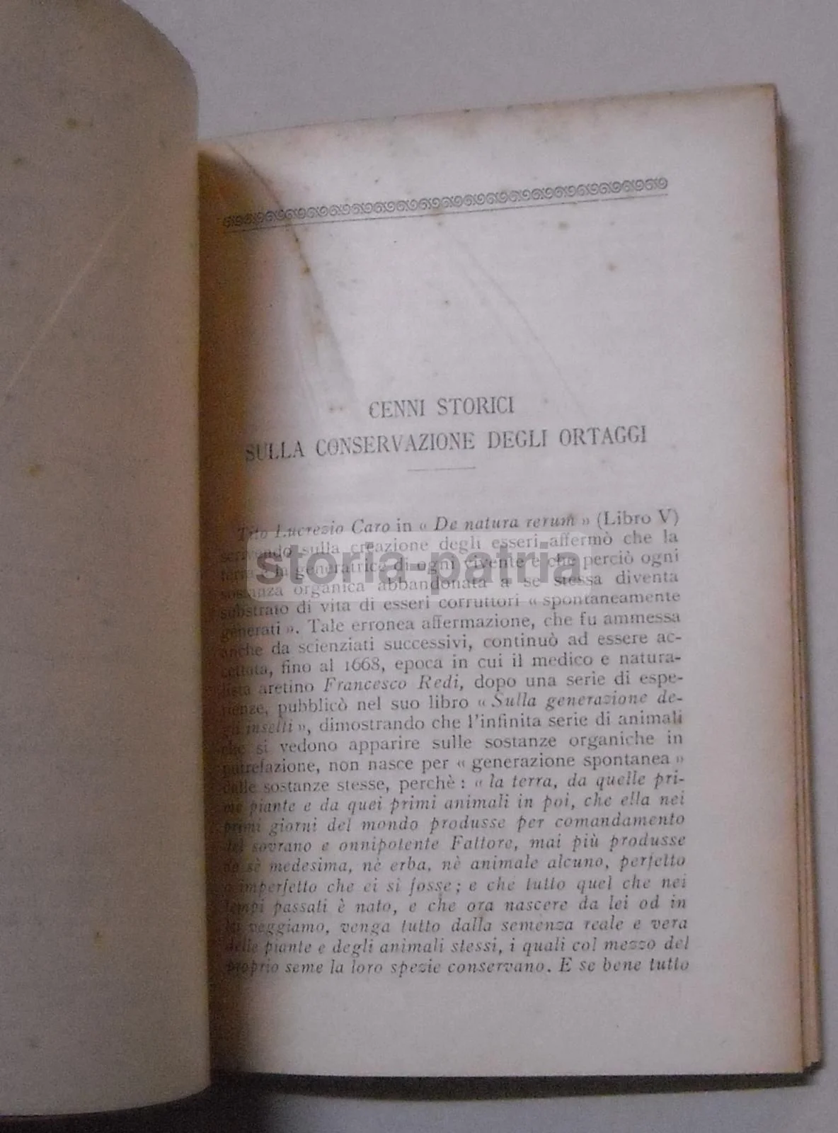 Ortaggi: Conservazione E Utilizzazione Industriale, A. De Mori (1945), foto 5 di 5