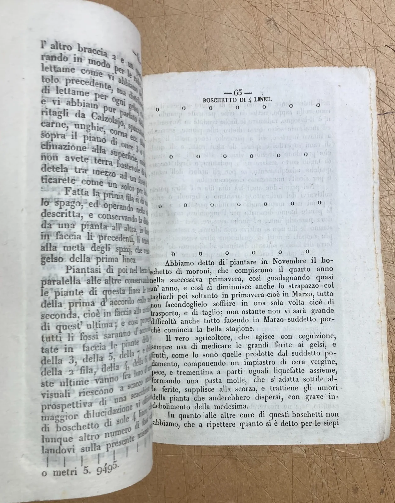 Il Bigattiere: Istruzioni Per L'Allevamento Dei Bachi Da Seta E La Coltivazione Dei Gelsi, Cremona, foto 7 di 10