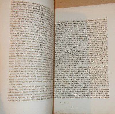 Michele Tenore: Relazione Di Una Escursione Al Terminio (1842)