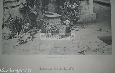 Armenise, tra il Sì e il No, Fototipia, Milano