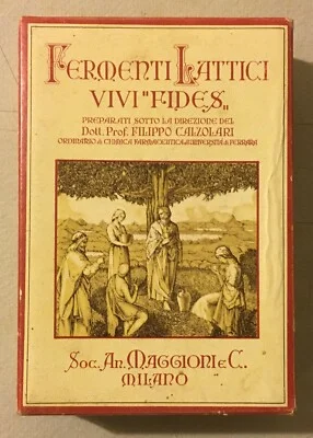 Astuccio Maggioni Fermenti Lattici VIVI Fides, Milano, foto 3 di 6