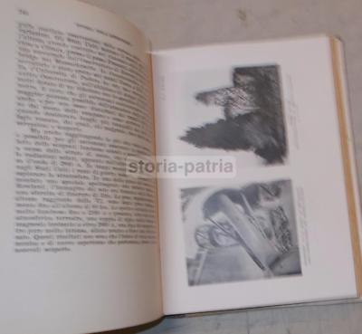 Storia Dell'Astronomia Giorgio Abetti (1949)