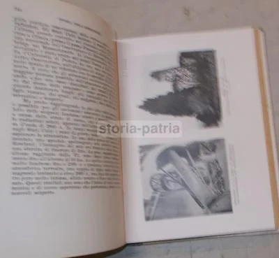 Storia Dell'Astronomia Giorgio Abetti (1949), foto 2 di 8