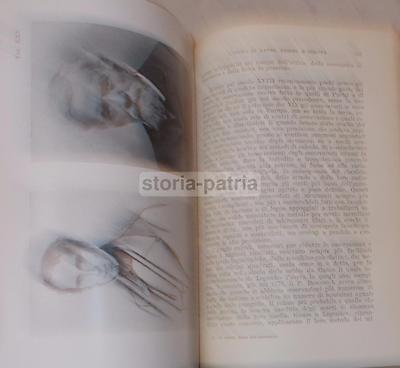 Storia Dell'Astronomia Giorgio Abetti (1949)