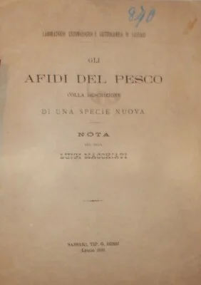 Macchiati, gli Afidi del Pesco, Sassari 1880, foto 3 di 3
