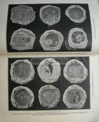Istruzioni per Ricamare con la Singer, dell'Aro 1908, foto 10 di 12