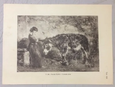 Stampa De l'Asinello Ferito di Filippo Palizzi, foto 3 di 3