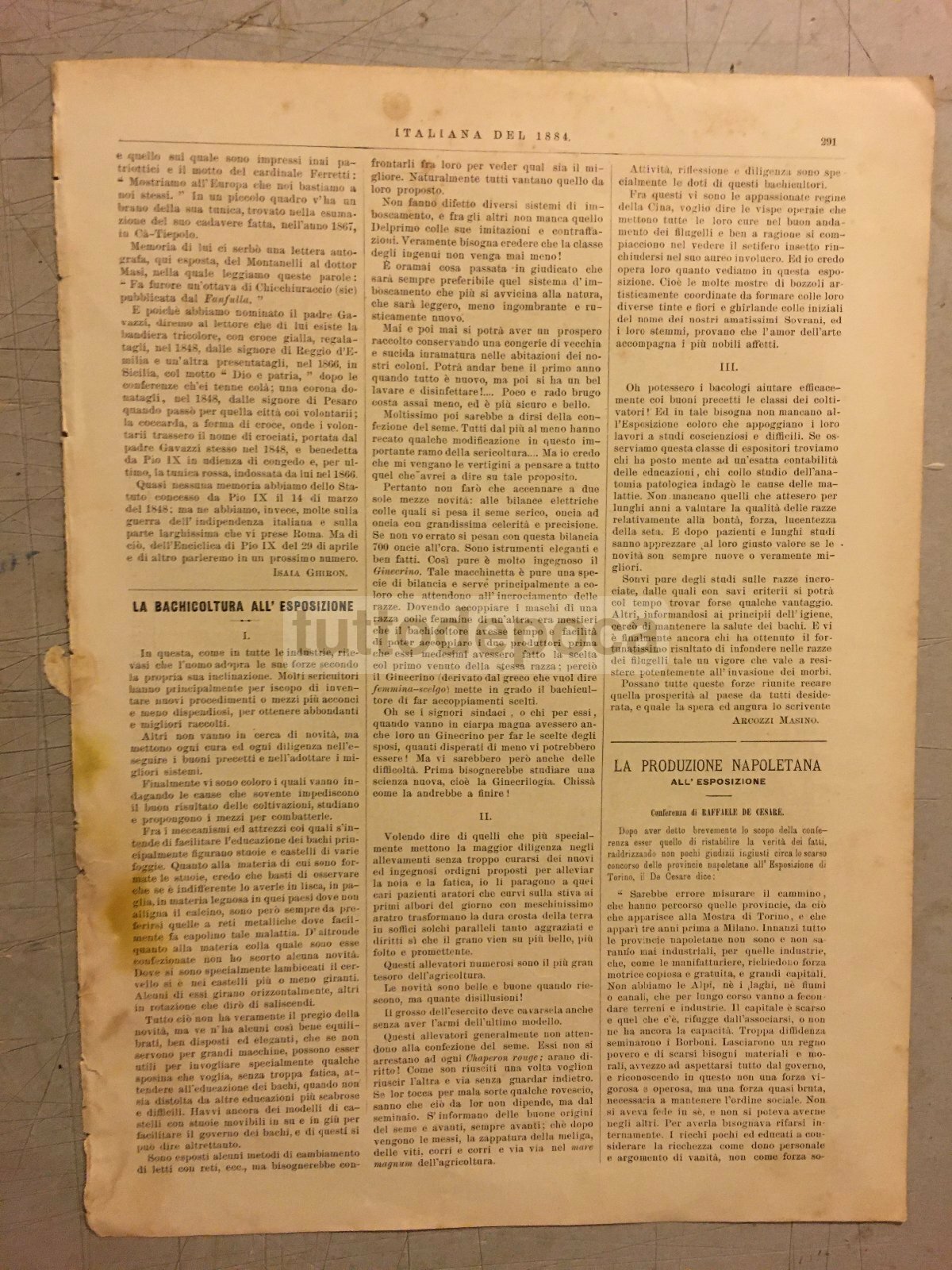 Nelle Sale d'Antropologia: Arte E Storia Con Raffaello, Petrarca, Foscolo, Mameli E Matania
