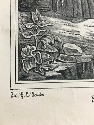 Stampa Popolare Devozionale: S. Antonio Di Padova Predica Ai Pesci, Napoli