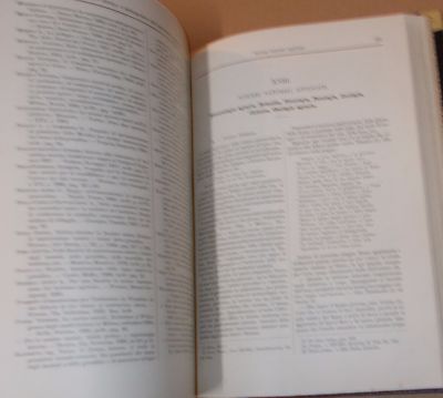 Saggio Storico E Bibliografico Dell'Agricoltura Italiana, 1902