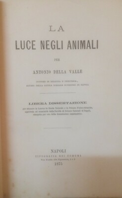 Storia Naturale, Zoologia: La Luce Negli Animali. Antonio Della Valle, 1875