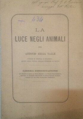 Storia Naturale, Zoologia: La Luce Negli Animali. Antonio Della Valle, 1875