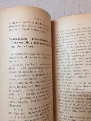 Enologia, Cantina, Botti, Vini, Solfiti, Chimica: Vinificazione Meridionale, 1919