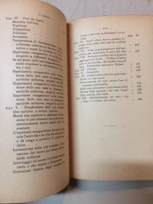 Enologia, Cantina, Botti, Vini, Solfiti, Chimica: Vinificazione Meridionale, 1919, foto 6 di 7