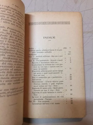 Enologia, Cantina, Botti, Vini, Solfiti, Chimica: Vinificazione Meridionale, 1919, foto 3 di 7
