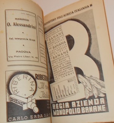 Politica, Economia, Corporazioni: Schelling, d'Annunzio, Goglia, Lloyd Triestino, 1938
