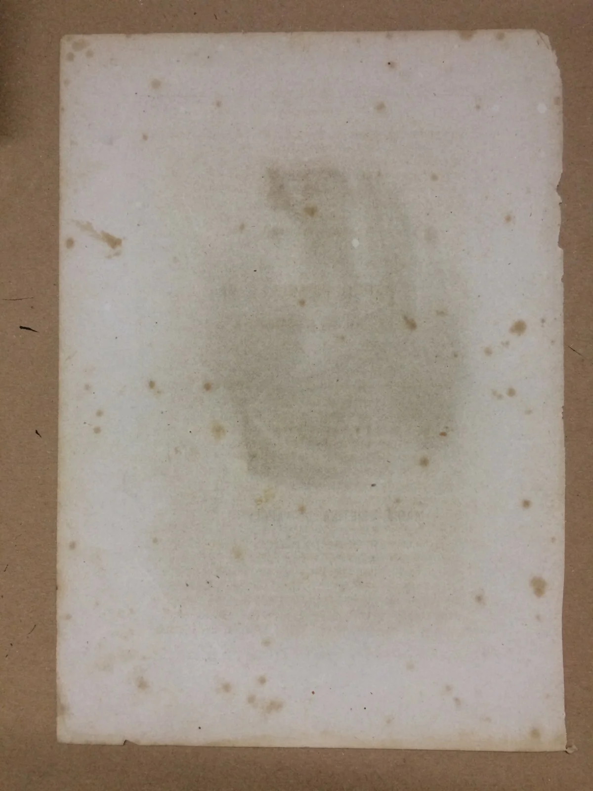 Ritratto Xilografico di Maria Cristina di Napoli