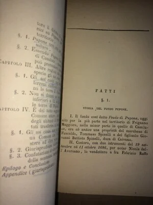 Giuridica Napoletana: Garofano, Casaluce, Aprano, Casalnuovo A Piro, Fondo Pupone (1800), foto 7 di 12