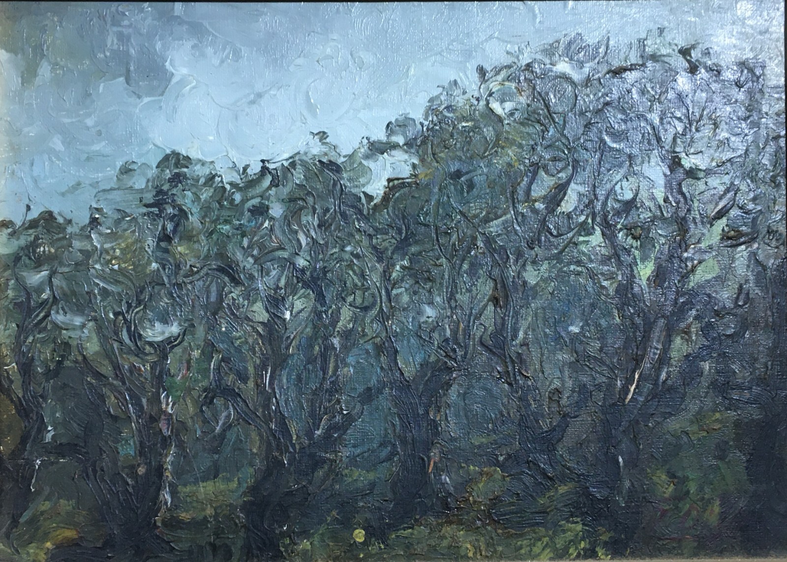 Arte Del '900, Puglia: Giuseppe Di Fino Ulivi In Autunno (Mostra Maggio Di Bari)